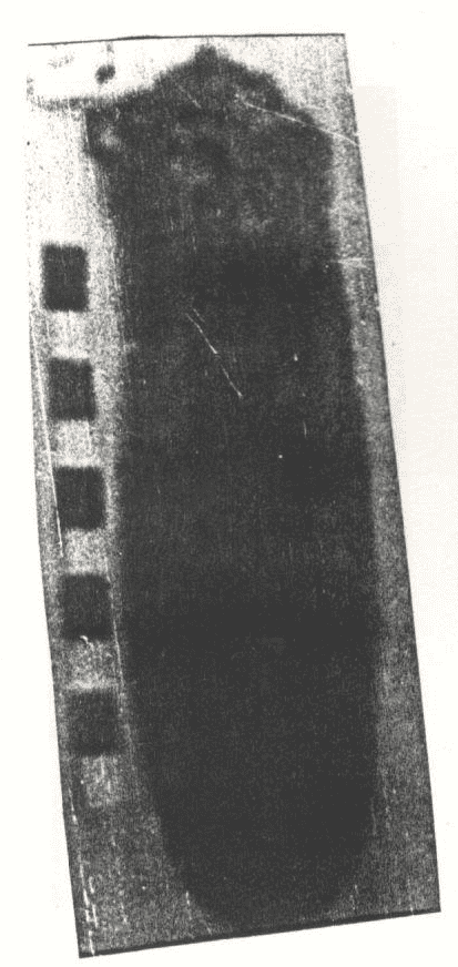 تمثال حيواني
